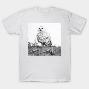 Dune Owl T-Shirt